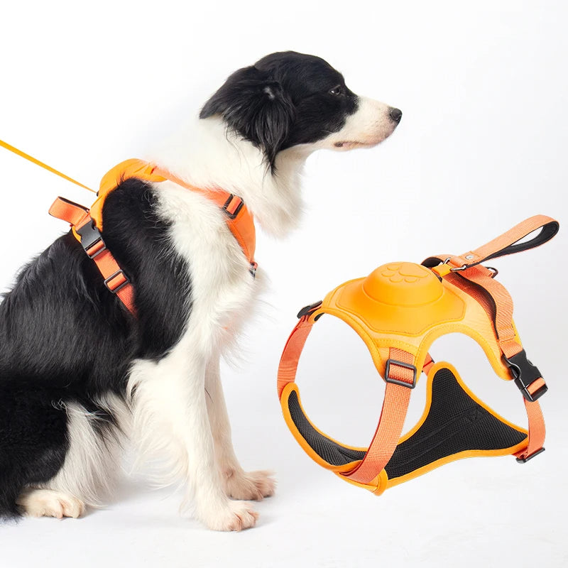 Harnais pour chien Corde Sangle de poitrine Intégré Automatique Rétractable