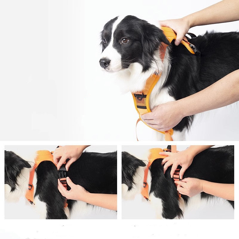 Harnais pour chien Corde Sangle de poitrine Intégré Automatique Rétractable