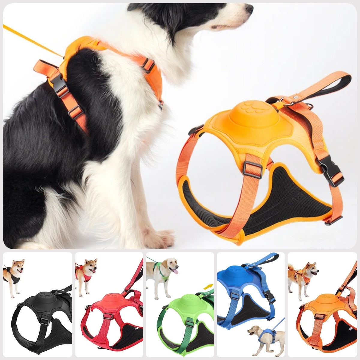 Harnais pour chien Corde Sangle de poitrine Intégré Automatique Rétractable