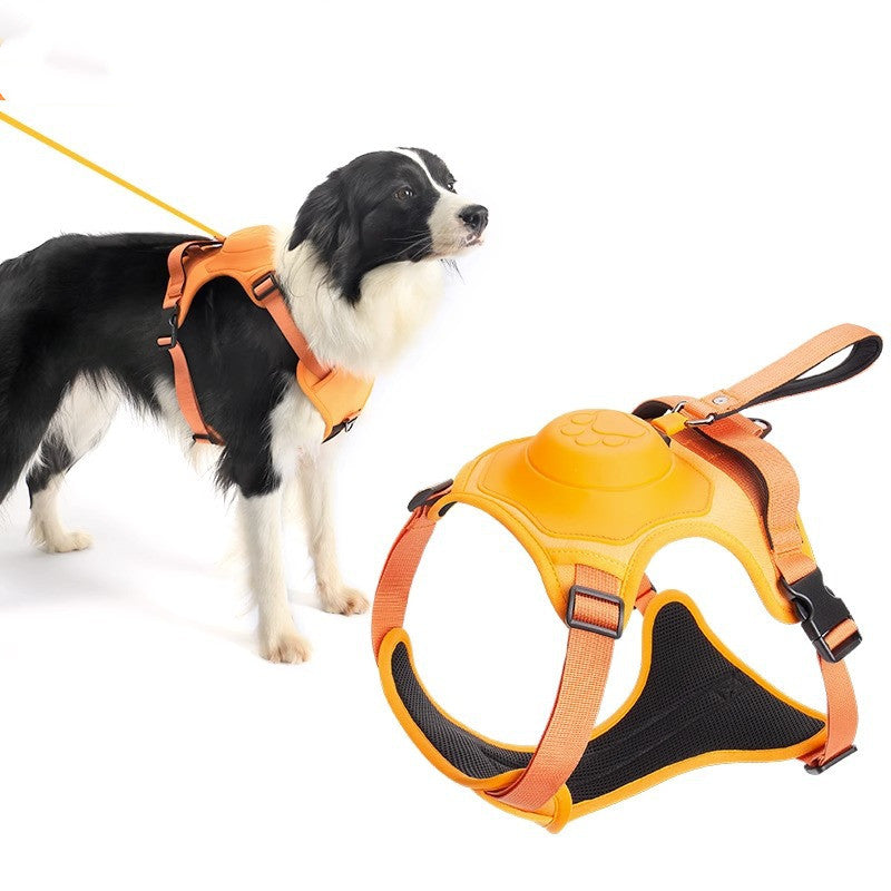 Harnais pour chien Corde Sangle de poitrine Intégré Automatique Rétractable